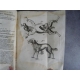 BARTHOLIN (BARTHOLINI), THOMAS. Anatomia complet des 120 gravures d'anatomie.Lyon 1677