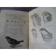 A Acloque Faune de France mammifères, oiseaux, poissons, reptiles, protochordes 1124 figures
