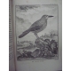 Buffon Histoire naturelle 1749- 1804 44 vol in quarto en reliure uniforme plein veau 1269 planches