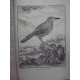 Buffon Histoire naturelle 1749- 1804 44 vol in quarto en reliure uniforme plein veau 1269 planches