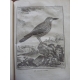 Buffon Histoire naturelle 1749- 1804 44 vol in quarto en reliure uniforme plein veau 1269 planches