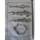 Buffon Histoire naturelle 1749- 1804 44 vol in quarto en reliure uniforme plein veau 1269 planches