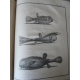 Buffon Histoire naturelle 1749- 1804 44 vol in quarto en reliure uniforme plein veau 1269 planches