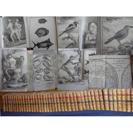 Buffon Histoire naturelle 1749- 1804 44 vol in quarto en reliure uniforme plein veau 1269 planches