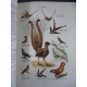 Coutière Henri Le monde vivant Histoire naturelle illustrée 262 planches couleurs Edition originale Bel exemplaire