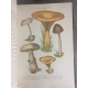 Coutière Henri Le monde vivant Histoire naturelle illustrée 262 planches couleurs Edition originale Bel exemplaire