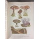 Coutière Henri Le monde vivant Histoire naturelle illustrée 262 planches couleurs Edition originale Bel exemplaire