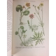 Coutière Henri Le monde vivant Histoire naturelle illustrée 262 planches couleurs Edition originale Bel exemplaire