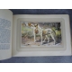 Les chiens de chasse Manufrance bel exemplaire de 1938, superbes gravures de chiens en couleur