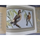 Les ennemis du gibier Manufrance bel exemplaire de 1935, superbes gravures d’animaux en couleur, chasse, écologie, faune