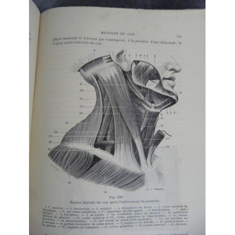 Testut Traité d'anatomie humaine Paris Edition originale Tome 1 1893 figures anatomiques