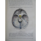 Testut Traité d'anatomie humaine Paris 2eme édition 1893 -1894 3/3 volumes figures anatomiques