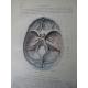 Testut Traité d'anatomie humaine Paris 4eme édition 1899 -1901 4/4 volumes figures anatomiques