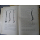 Testut Traité d'anatomie humaine Paris 4eme édition 1899 -1901 4/4 volumes figures anatomiques