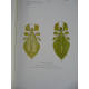 Bordas L. Entomologie Rare Anatomie interne des Phyllies Dédicace à Vialetton Planches couleurs