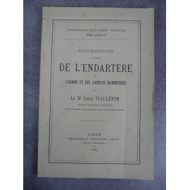 Vialleton Endartère de l'homme et des animaux mammifères sang vaisseau circulation artère médecine