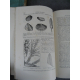 Lapparent Traité de géologie complet en 3 volumes quatrième Edition Terre Minéraux fossile