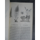 Le Maout Botanique leçons élémentaires de flore plante écologie reliure cuir 1857