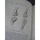 Viollet le Duc Histoire d'un dessinateur comment on apprend à dessiner Hetzel 1879 cartonnage Souze Engel