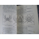 A Acloque Faune de France Thysanoures Myriopodes Arachnides Araignées Crustacées etc 1664 figures