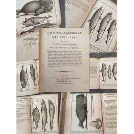 Lacépède [Buffon] Histoire des Cétacées [Cétacés] Baleines Dauphins Cachalots...Edition originale An XII 1804 Rare.