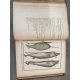 Lacépède [Buffon] Histoire des Cétacées [Cétacés] Baleines Dauphins Cachalots...Edition originale An XII 1804 Rare.