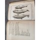 Lacépède [Buffon] Histoire des Cétacées [Cétacés] Baleines Dauphins Cachalots...Edition originale An XII 1804 Rare.