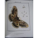 Geant Folio Les insectes Rosêl von Rosenhof, Citadelles Mazenod Sous emboitage Cadeau ouvrage de référence