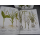 Geant Folio Basilius Besler L'herbier des 4 saisons Botanique Flore Citadelles Mazenod Sous emboitage