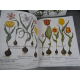 Geant Folio Basilius Besler L'herbier des 4 saisons Botanique Flore Citadelles Mazenod Sous emboitage