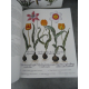Geant Folio Basilius Besler L'herbier des 4 saisons Botanique Flore Citadelles Mazenod Sous emboitage
