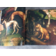 Le chien dans l'art tamsin pickeral Citadelles Variation Mazenod Cadeau beau livre