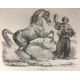 Carle Vernet Grande Lithographie Originale Cheval Horse Le Derviche Delpech
