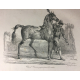 Carle Vernet Grande Lithographie Originale Cheval Horse Cheval romain préparé pour la course Delpech