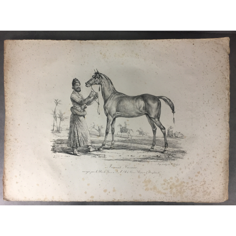 Carle Vernet Grande Lithographie Originale Cheval Horse Jument persanne Delpech