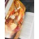 Fumaroli Peinture et pouvoirs Faton Plein cuir de tête des 30 hors commerce Condition rare beau livre . Cadeau d'exception