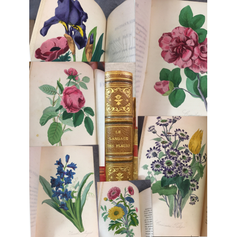 Charlotte de la Tour Le Langage des fleurs couleurs d'époque, réhaussées de gomme arabique à Noël un bouquet ou un livre ?