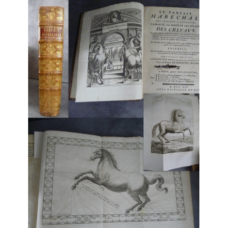 Soleyssel le Parfait Maréchal Cheval Hippiatrique art vétérinaire dressage 1754