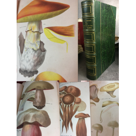 Cordier Les champignons de la France Rothschild 1870 Superbes planches couleur Mycologie reliure maroquin