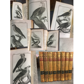 Sonnini Buffon Histoire naturelle oiseaux Tome 1 a 8 rapace aigle ornithologie 84 planches