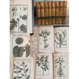 Sonnini Buffon Brisseau mirbel Histoire naturelle des plantes Tome 10 a 17 Botanique flore écologie