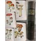 Rolland Les champignons de France Suisse et Belgique Complet des 120 planches 1910 reliure cuir beau livre.
