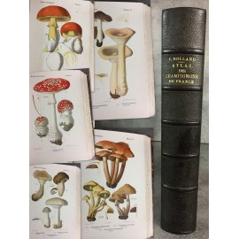 Rolland Les champignons de France Suisse et Belgique Complet des 120 planches 1910 reliure cuir beau livre.