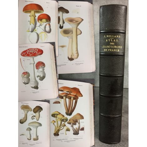 Rolland Les champignons de France Suisse et Belgique Complet des 120 planches 1910 reliure cuir beau livre.