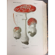 Rolland Les champignons de France Suisse et Belgique Complet des 120 planches 1910 reliure cuir beau livre.