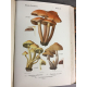 Rolland Les champignons de France Suisse et Belgique Complet des 120 planches 1910 reliure cuir beau livre.