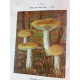 Dumèe Paul Atlas de poche des champignons comestibles et vénéneux 64 planches