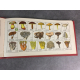 Seyot A.B.C. Mycologique Nancy 10 figures et 307 dessins à la plume et coloriés par l'auteur.