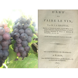 Chaptal L'art de faire le vin Rare Edition séparée et augmentée de 1807, Chaptalisation œnologie cave raisin Ampélographie