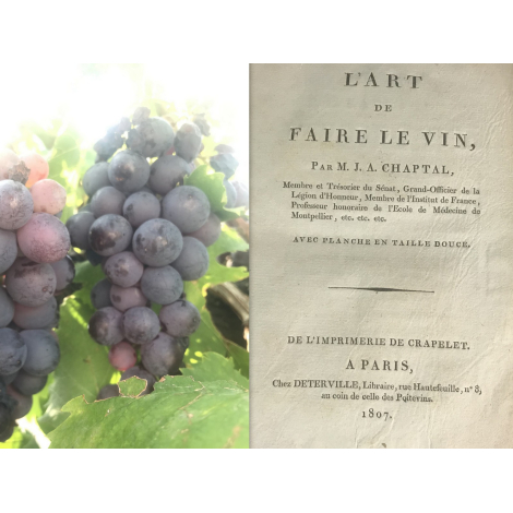 Chaptal L'art de faire le vin Rare Edition séparée et augmentée de 1807, Chaptalisation œnologie cave raisin Ampélographie
